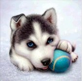 Diamond Painting – 30x30 cm – Husky Pup met blauwe Tennisbal / Hond / Huisdier / Puppie - Gedeeltelijke bedekking / Ronde steentjes – Inclusief tools. Ideaal voor beginners, kinder