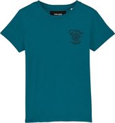 DREAUPVETEUR GRIJSGROEN T-SHIRT KIDS