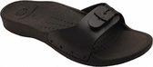 Scholl Footwear Sun Black Maat 37