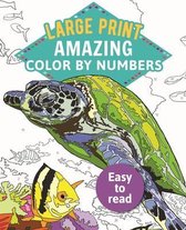 Sirius Large Print Color by Numbers Collection- Amazing Color by Numbers Large Print