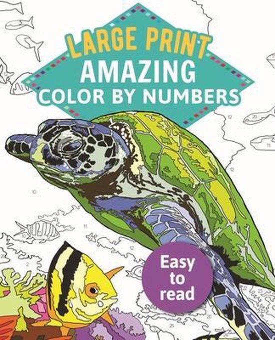 Amazing Color by Numbers Large Print, Arcturus Publishing ...