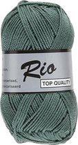 Lammy yarns Rio katoen garen - oud groen (458) - naald 3 a 3,5mm - 10 bollen