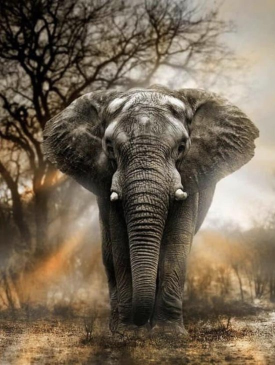 Moguxb Doe-het-zelf 5D Olifant Diamant Schilderij