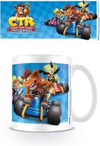 Crash Bandicoot Crash Team Racing Race Mok