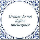 Tegeltje met standaard - Grades do not define intellegince