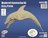 Bouwpakket 3D Puzzel Dolfijn