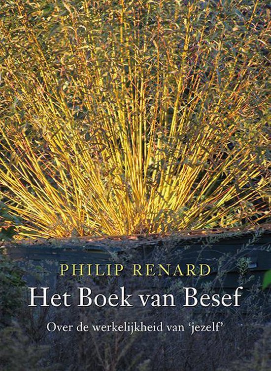 Het boek van besef - Philip Renard | Northernlights300.org
