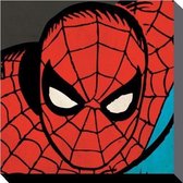 Marvel Comics - Canvas 40X40 - Spiderman Close-Up