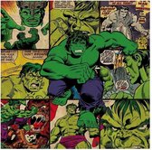 Schilderij - Comics Canvas Hulk Squares - Multicolor - 40 X 40 Cm Marvel Comics - Canvas 40x40 '18mm' - Hulk Squares