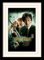 Harry Potter - Mounted & Framed 30X40 Print - Chamber of Secrets