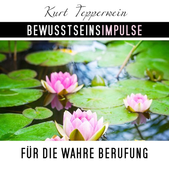 Bewusstseinsimpulse für die wahre Berufung - cover