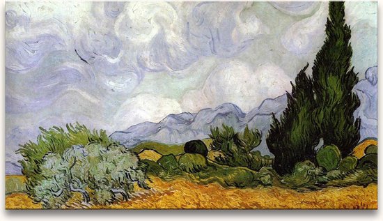 Handgeschilderd schilderij Olieverf op Canvas - Vincent van Gogh 'Veld met Cipressen'