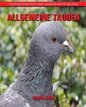 Allgemeine Tauben