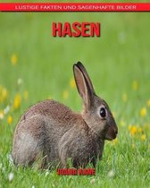 Hasen