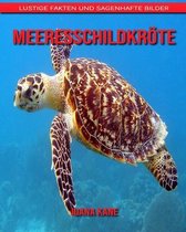 Meeresschildkroete