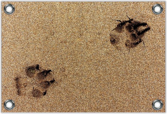 Tuinposter –Hondenpoot Afdrukken in het Zand– 40x30 Foto op Tuinposter (wanddecoratie voor buiten en binnen)