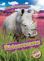 Animals of the Grasslands- Rhinoceroses