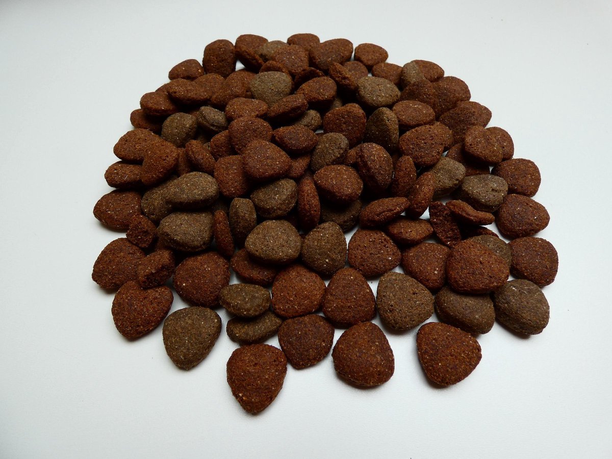 Dogs Delicious hondenbrokken hypoallergeen Super Premium Senioren Lam en Rijst 10 kg