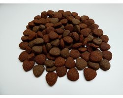 Dogs Delicious hondenbrokken hypoallergeen Super Premium Senioren Lam en Rijst 10 kg