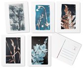 Flora, botanische Wenskaarten Set -5 stuks - Blanco - Ansichtkaarten - De originele illustraties zijn handgemaakt door Angela