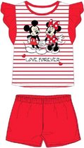 Disney Minnie Mouse - Mickey Mouse short pyjama. Maat: 116 cm / 6 jaar