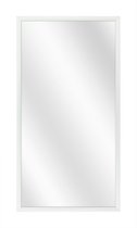 Spiegel met Luxe Aluminium Lijst - Mat Zilver - 20x50 cm