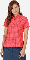 Regatta - Women's Mindano V Short Sleeved Shirt - Outdoorshirt - Vrouwen - Maat 40 - Roze