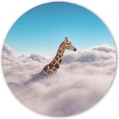 Wooncirkel - Giraf in de Wolken (⌀ 30cm)