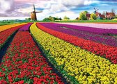 Puzzel 1000 stukjes-Tulip Fields Netherlands