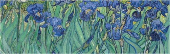 Sjaal|| Irissen || Vincent van Gogh