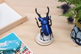 Assembli Paper Stag beetle small-Kobalt blauw