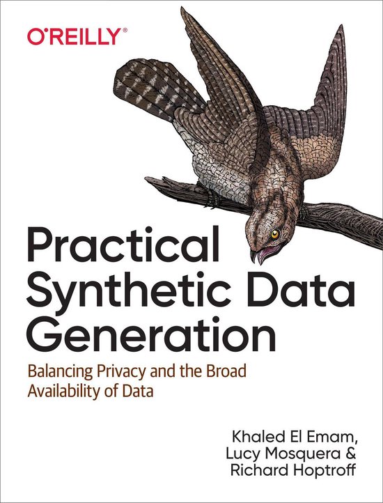 Practical Synthetic Data Generation - cover