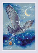 RIOLIS Magic Owl borduren (pakket)