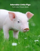 Adorable Little Pigs Full-Color Picture Book