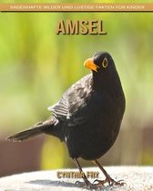 Amsel