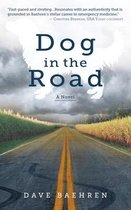 Dog in the Road