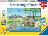 Ravensburger 5095 puzzle 12 pièce(s)