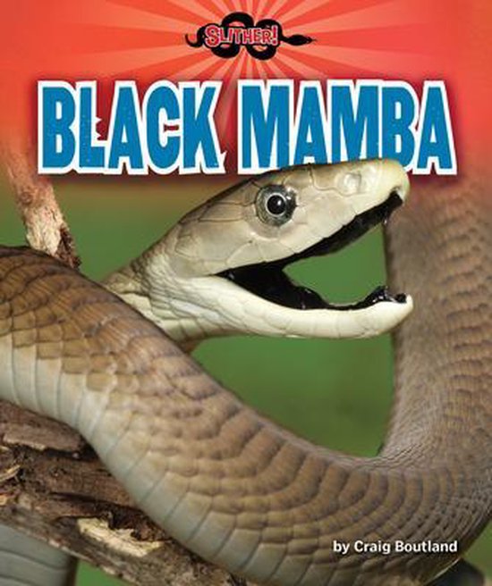 Slither!- Black Mamba | 9781647470944 | Craig Boutland | Boeken | bol.com