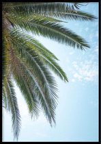 Poster  Palmboom Bladeren - 30x40cm met Fotolijst – Natuur Poster – Ingelijst