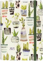 Agenda Watercolor Succulents 2020-2021 - 16 maanden