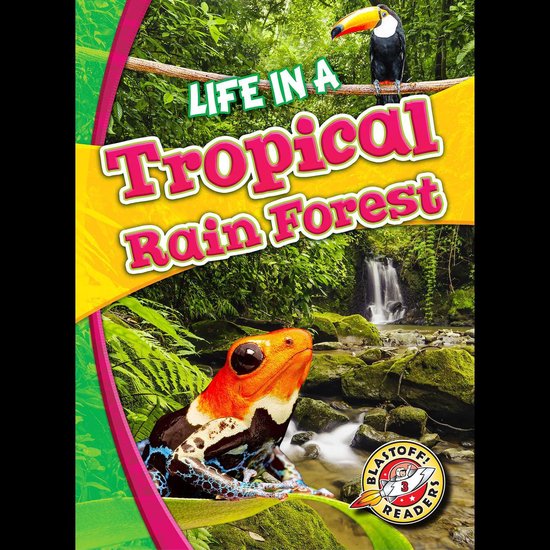 Life in a Tropical Rain Forest