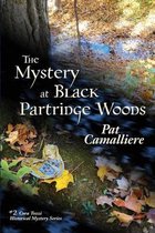 Cora Tozzi Historical Mystery-The Mystery at Black Partridge Woods