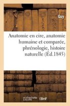Anatomie En Cire, Anatomie Humaine Et Compar�e, Phr�nologie, Histoire Naturelle