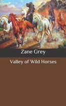 Valley of Wild Horses