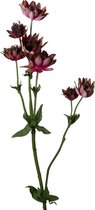 Viv! Home Luxuries Astrantia - zijden bloem - fuchsia paars - topkwaliteit zijde bloemen