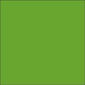 Plakfolie - Oracal - Lime Groen – Mat – 126 cm x 10 m - Meubelfolie - Interieurfolie - Zelfklevend