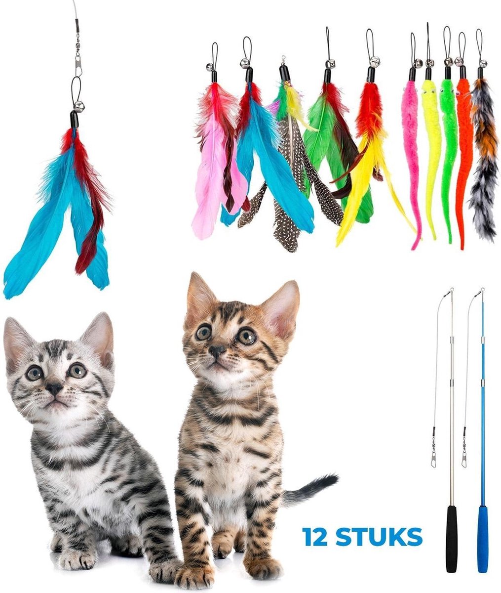 2 Kattenhengels met 10 Speeltjes – Bewegende Kattenspeeltjes met Veren en Belletjes – Interactieve Kattenspeelgoed Voor Kittens – Cat Toys - Merkloos