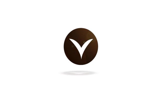 Vitility Badrandbeugel – Veiligheidsgreep voor Bad – Antislip – Steun bij In- en Uitstappen