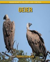 Geier