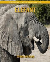 Elefant